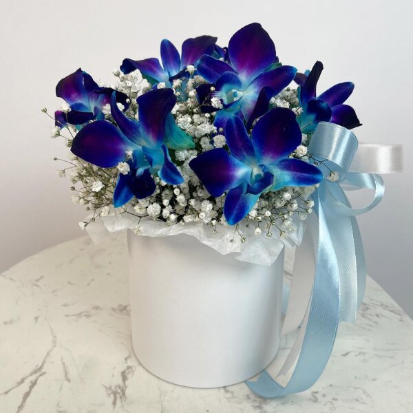 Гипсофила - 6, Орхидея Дендробиум - 9, Колба-пробирка, Оазис, Шляпная коробка маленькая, Лента